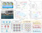 HKU Engineering develops world-first brain-like chip to advance quantum computing and deep-space exploration
