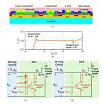 Stability Improvement of GaN Power HEMT by a Multi-Functional Monolithic Protection Circuit